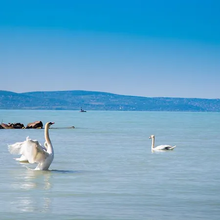 Apartman Riva Siófok